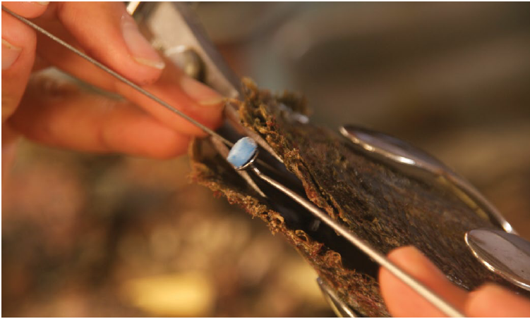 South Sea Pearl Culturing Process