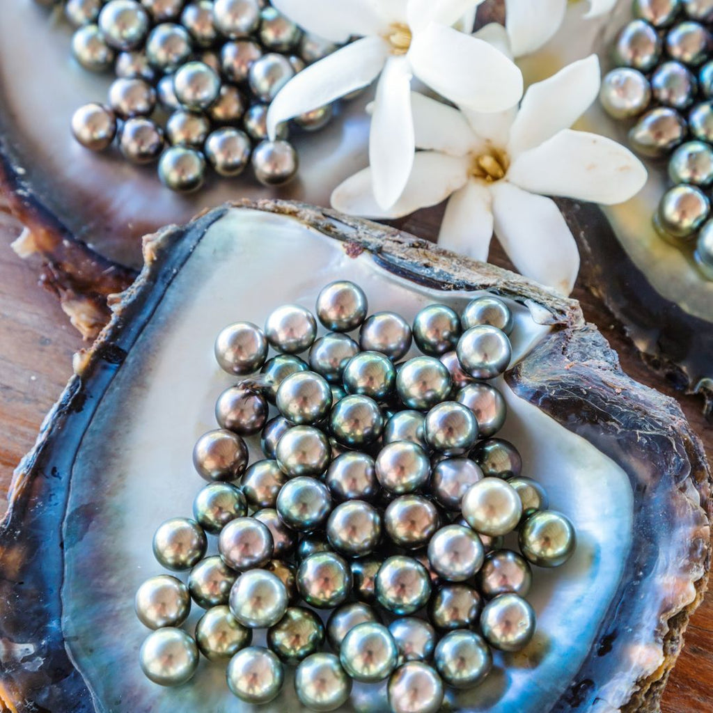 The South Sea Pearl Blog  The South Sea Pearl
