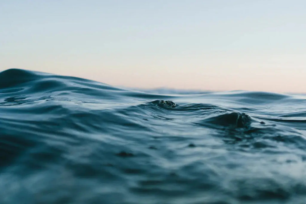 How Climate Change is Shaping the Future of Pearl Farming