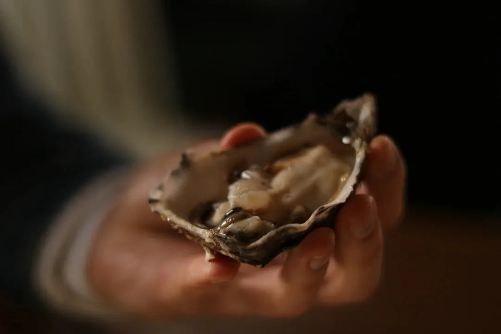 The Secrets of Pearl Formation Explained
