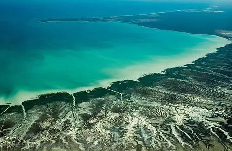 The pristine environment in which the Pinctada Maxima Oyster is farmed from. | The South Sea Pearl