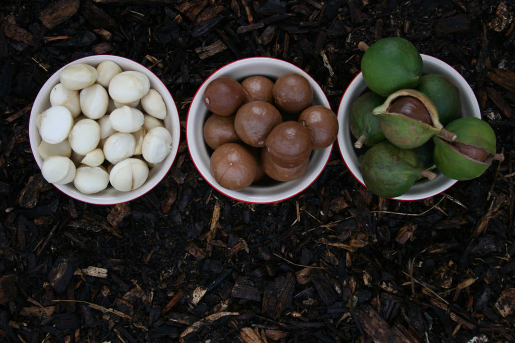 Unlocking the Beauty of Tahitian Pearls