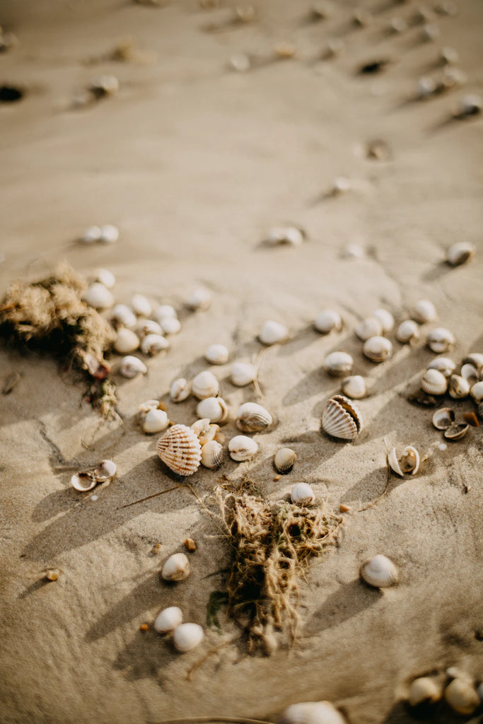 The Environmental Impact of Tahitian Pearl Farming