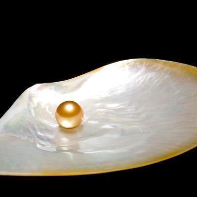 The five virtues of a South Sea Pearl | The South Sea Pearl