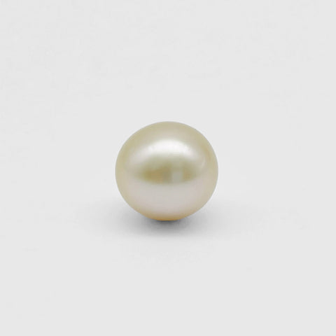 South Sea pearl Loose 11.7mm golden round (Pinctada maxima) — The South Sea Pearl