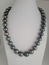 Tahiti Pearls 12-14 mm Dark Color and High Luster |  The South Sea Pearl |  The South Sea Pearl