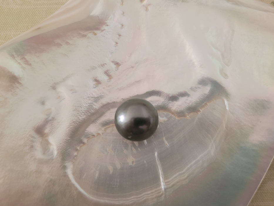 Tahiti Pearl of large size 17 mm dark color semi-round shape