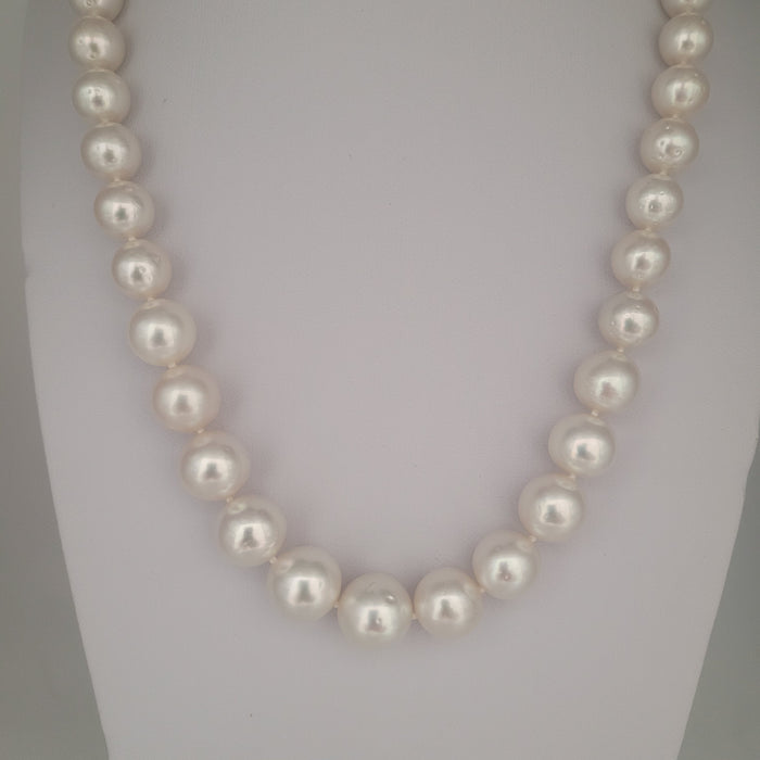 White South Sea Pearls Round shape High Luster 18K Gold Claps