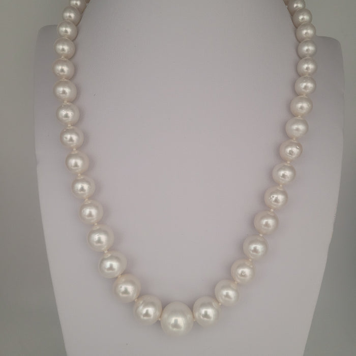 White South Sea Pearls Near-Round High Luster 18K Gold Clasp