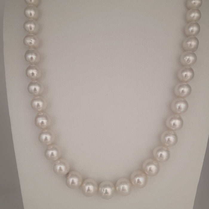 White South Sea Pearls 10-12 mm Very High Luster 18K Gold Clasp