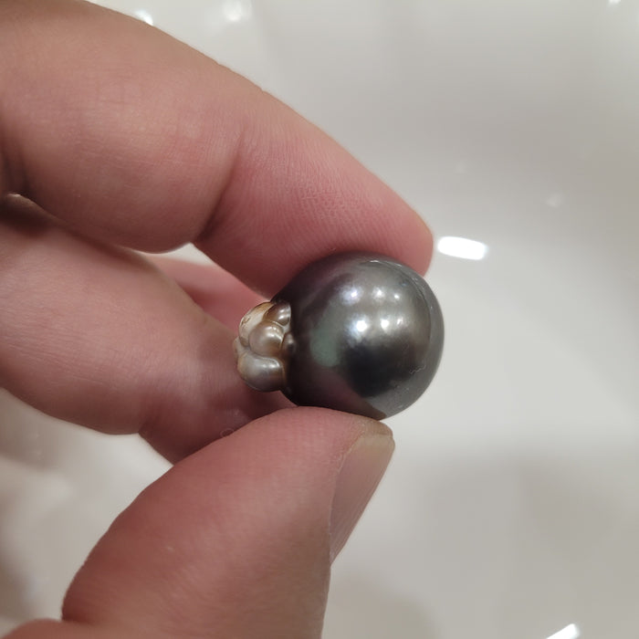 Tahiti Pearl 16,50 mm Drop Shape, Dark Color, High Luster