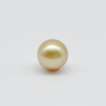 South Sea pearl Loose 12mm golden round — The South Sea Pearl