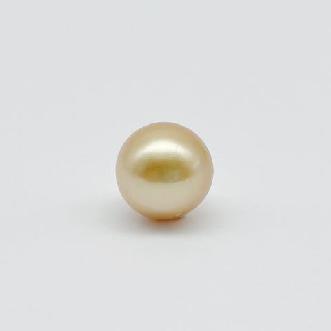 South Sea pearl Loose 12mm golden round (Pinctada maxima) — The South Sea Pearl