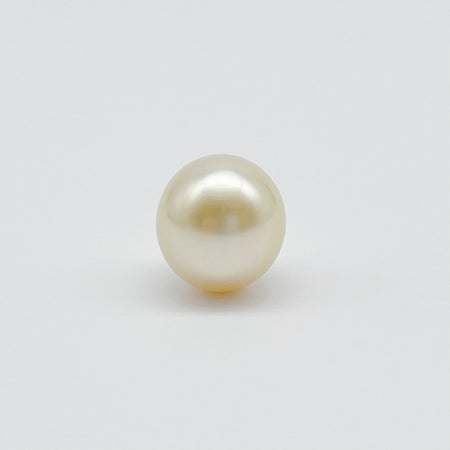 Golden South Sea Pearl 12 mm Drop Shape Grade 1 (Pinctada maxima) — The South Sea Pearl
