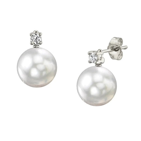 South Sea cultured pearl earrings in 18K Gold (Pinctada maxima) — The South Sea Pearl