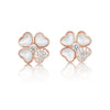 Earrings of Mother of Pearl in Silver 925 Rose Gold Plated | The South Sea Pearl |  The South Sea Pearl