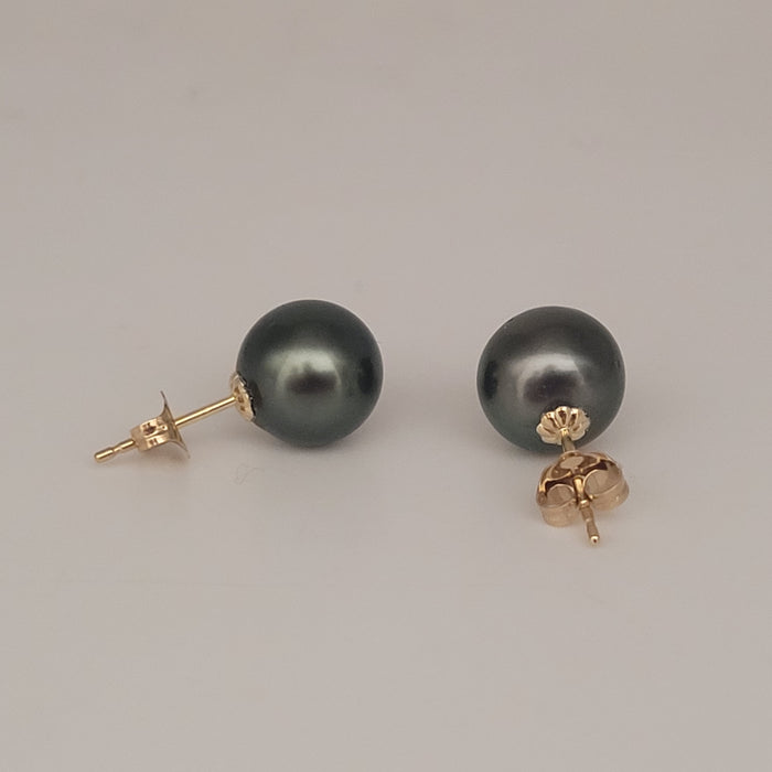 Orecchini a lobo con perle di Tahiti, 10,3 mm, dorata, AAA (classificazione del produttore), oro massiccio 18 carati
