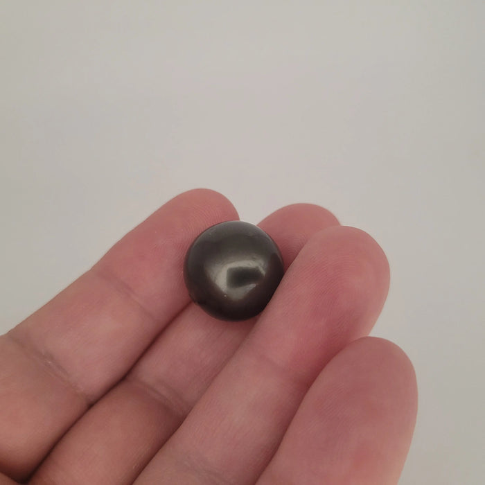 Tahiti Loose Pearl 16.80 mm Dark Color Very High Luster | The South Sea Pearl |  The South Sea Pearl