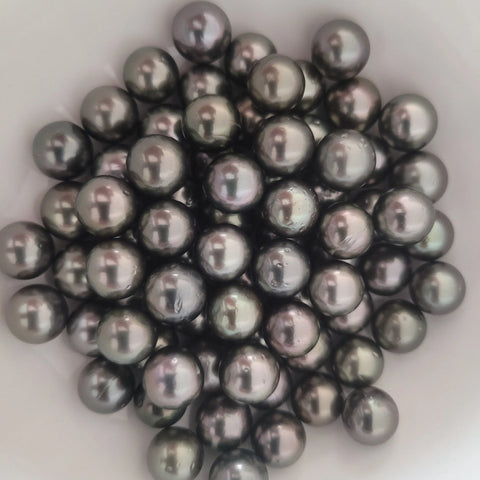 Loose dark Tahitian cultured pearls 11-12mm round (Pinctada margaritifera) — The South Sea Pearl