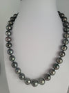 Tahiti Pearl Necklace 10-11 mm Natural Color and High Lustee |  The South Sea Pearl |  The South Sea Pearl
