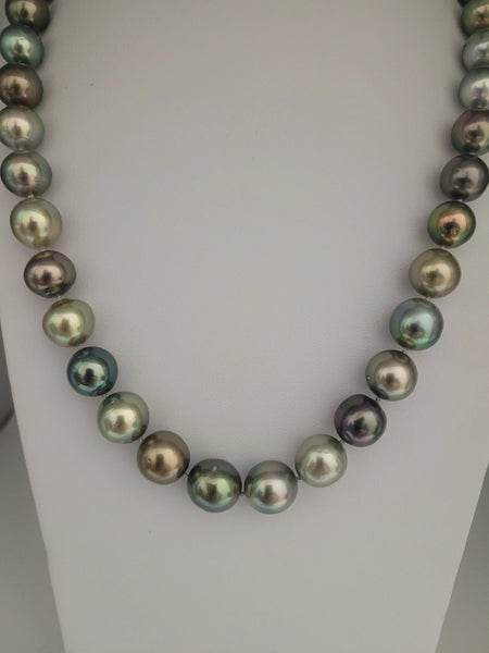 Tahiti Pearls Natural Multicolor 10-11 mm Round, 18K Gold Clasp | The South Sea Pearl |  The South Sea Pearl