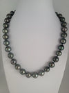 Tahiti Pearls of Dark Color and High Luster 10-11 mm |  The South Sea Pearl |  The South Sea Pearl