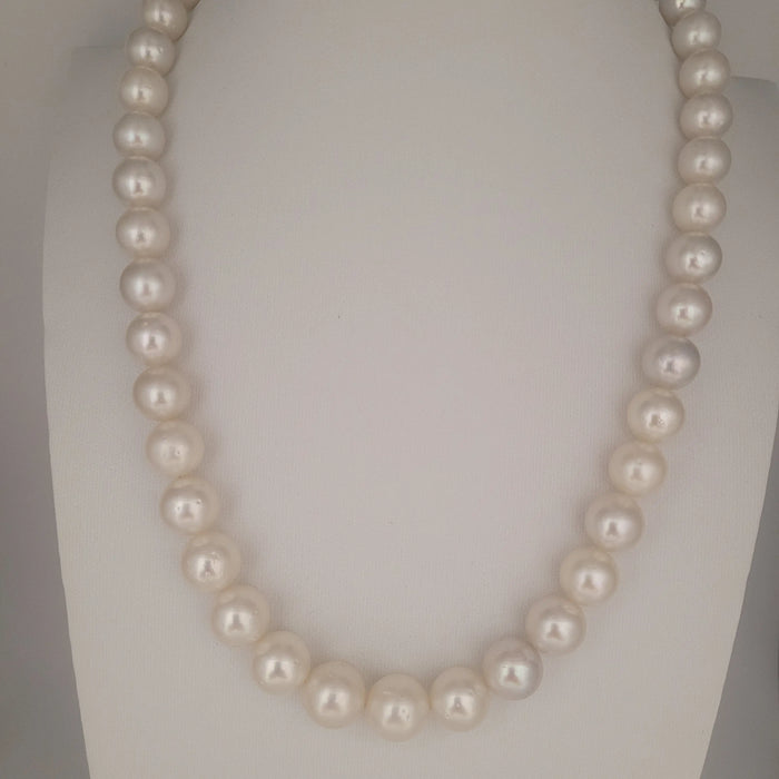What South Sea Pearls Round 10-12 mm 18 Gold Clasp | The South Sea Pearl |  The South Sea Pearl