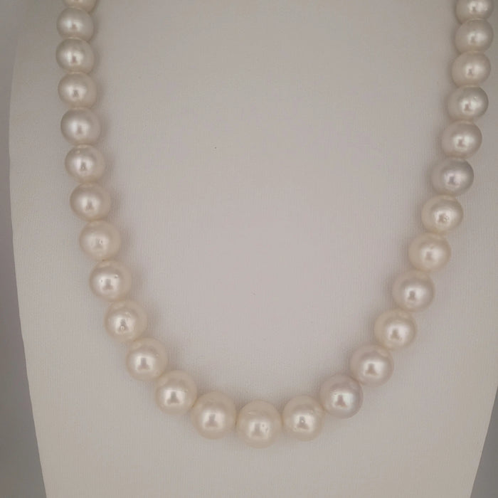 What South Sea Pearls Round 10-12 mm 18 Gold Clasp | The South Sea Pearl |  The South Sea Pearl