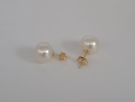 White South Sea Pearls 10-11 mm Earrings Stud 18K Solid Gold | The South Sea Pearl |  The South Sea Pearl