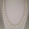 White South Sea Pearls 10-12 mm Very High Luster 18K Gold Clasp | The South Sea Pearl |  The South Sea Pearl