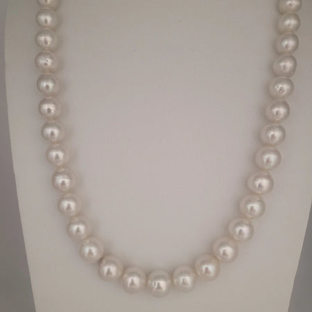 White South Sea Pearls 10-12 mm Very High Luster 18K Gold Clasp | The South Sea Pearl |  The South Sea Pearl