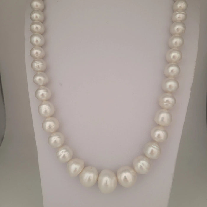 White South Sea Pearls 10-16 mm High Luster 18K Gold Clasp | The South Sea Pearl |  The South Sea Pearl