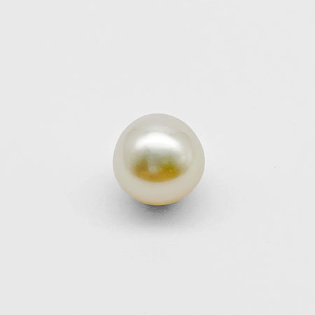 GOLDEN SOUTH SEA PEARL 12.3 mm GRADE 1 QUALITY |  The South Sea Pearl |  The South Sea Pearl