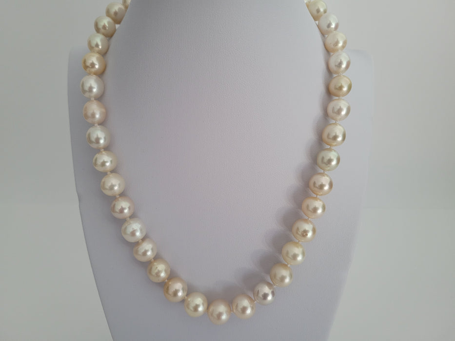 South Sea Pearls 9-11 mm Natural Colors - Only at  The South Sea Pearl