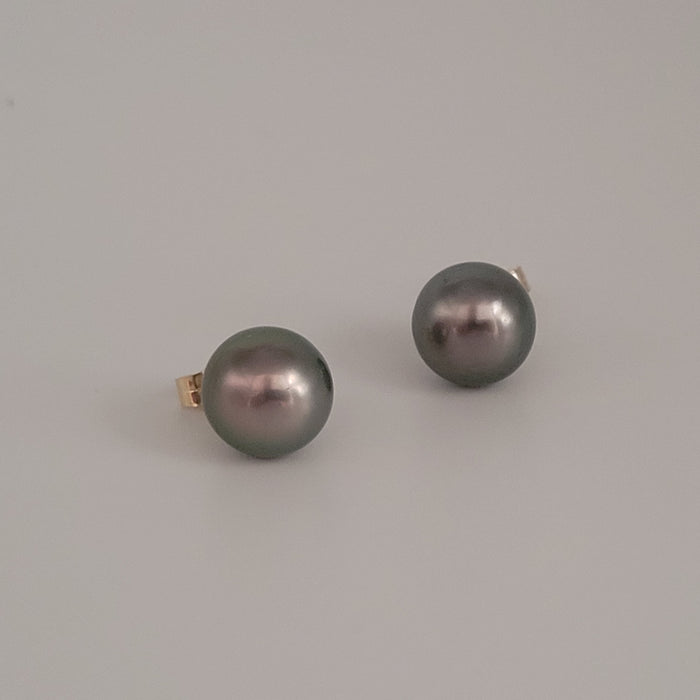 Tahiti Pearl Earrings 12 mm AAA Quality High Luster 18K Solid Gold |  The South Sea Pearl |  The South Sea Pearl