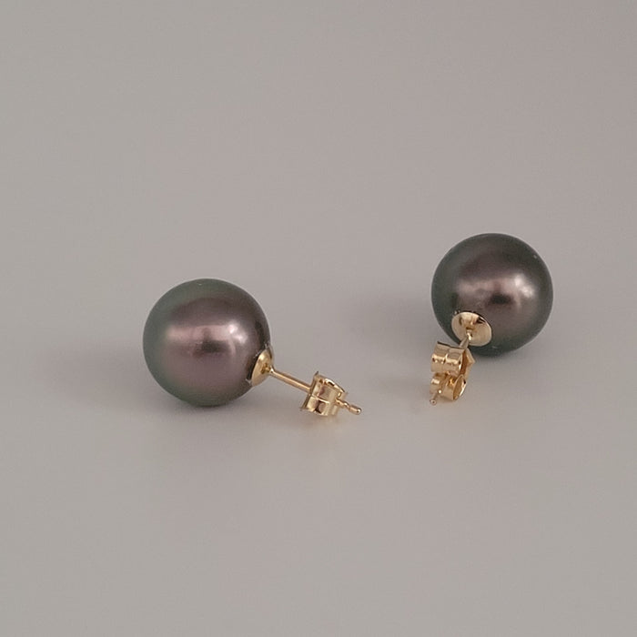 Tahiti Pearl Earrings 12 mm AAA Quality High Luster 18K Solid Gold |  The South Sea Pearl |  The South Sea Pearl