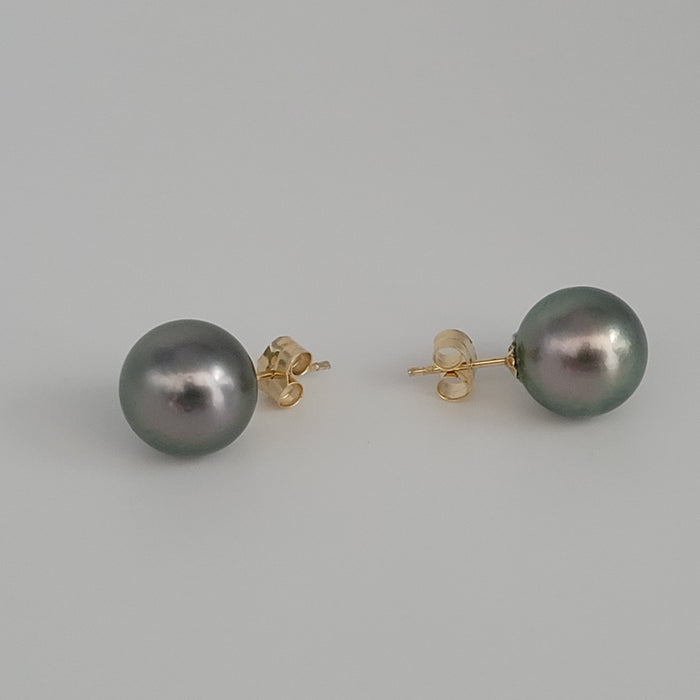 Tahiti Pearl Earrings Stud 9 mm AAA Quality and 18 Karat Solid gold |  The South Sea Pearl |  The South Sea Pearl