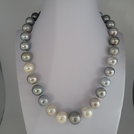 Tahiti Pearl Necklace of Fancy Color, Round shaoe 11-14 mm |  The South Sea Pearl |  The South Sea Pearl