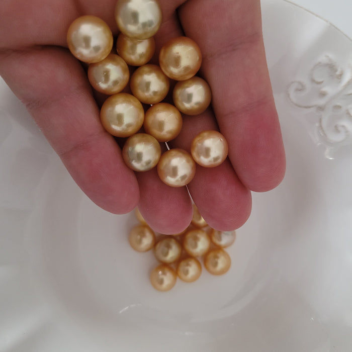 Golden South Sea Pearl Earrings 11 mm 18 Karat Gold |  The South Sea Pearl |  The South Sea Pearl