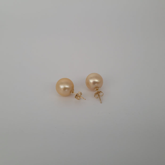 Golden 11 mm  South Sea Pearl Earrings 18K Solid Gold |  The South Sea Pearl |  The South Sea Pearl