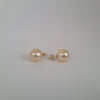 Golden South Sea Pearls Stud Earrings 11 mm 18 Karat Gold |  The South Sea Pearl |  The South Sea Pearl