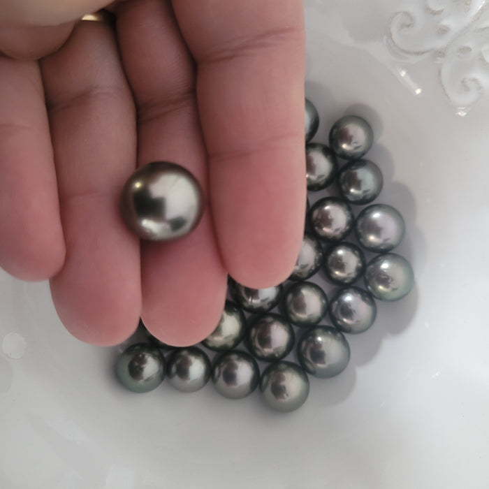 Tahiti Pearls Loose 12-13 mm Dark Color, Round Shape |  The South Sea Pearl |  The South Sea Pearl