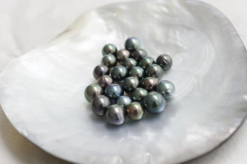 18 Karat gold Tahiti Pearls 10 mm round natural color | South Sea Pearls |  The South Sea Pearl