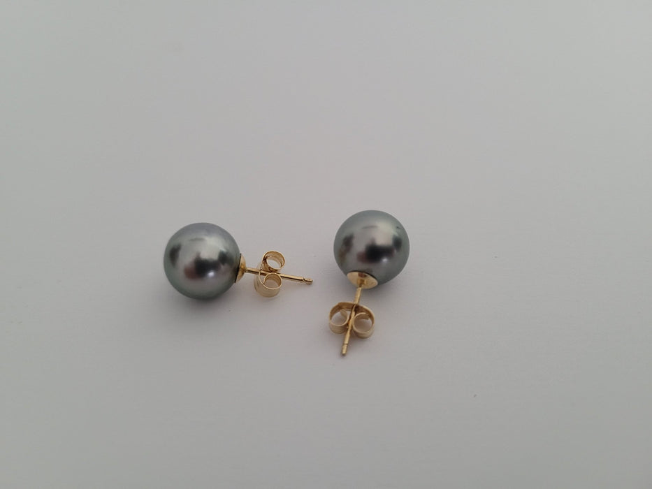 Beautiful Tahitian Pearl Earrings, Manufactured in 18K Yellow Gold & 925 mls Sterling Silver - Only at  The South Sea Pearl