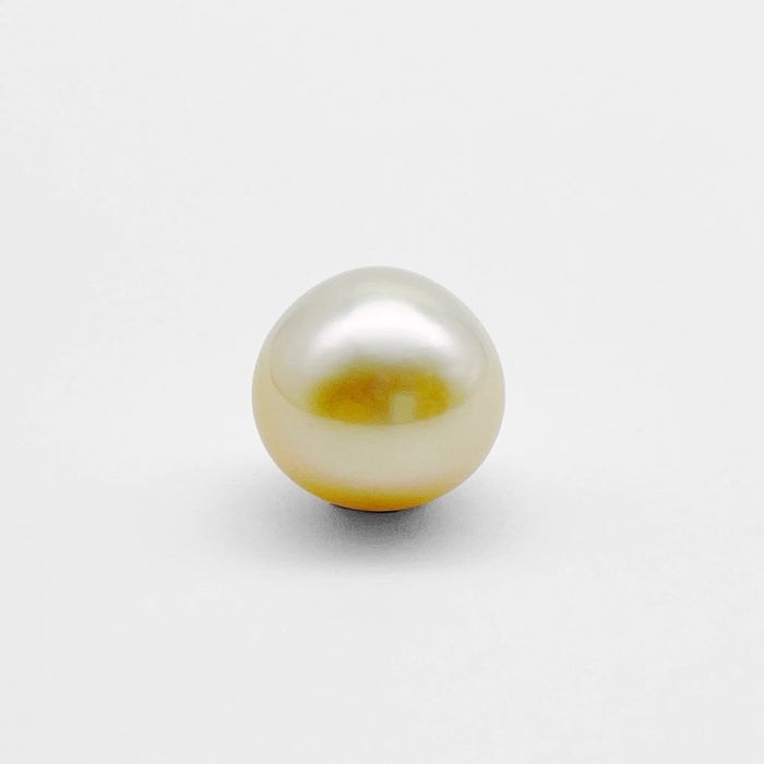 Golden South Sea Pearl Single 13.8 mm Quality Grade 1 |  The South Sea Pearl |  The South Sea Pearl