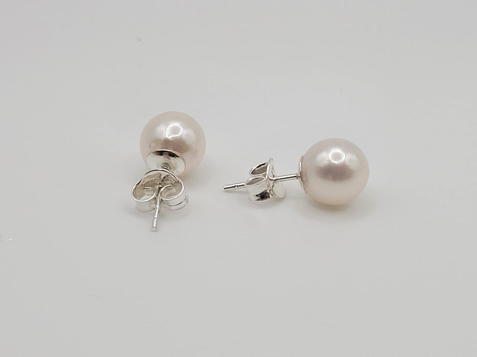 Akoya Pearl Earrings in 925 Sterling Silver - Sizes range from 7 to 9mm -  The South Sea Pearl