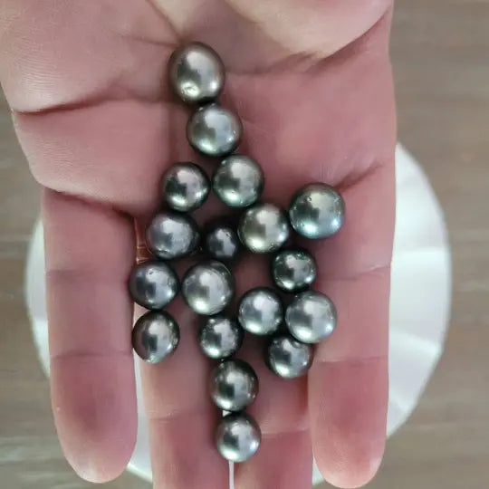 Loose Tahitian Pearls of Natural Color and Luster, Size of 10-11 mm -  The South Sea Pearl