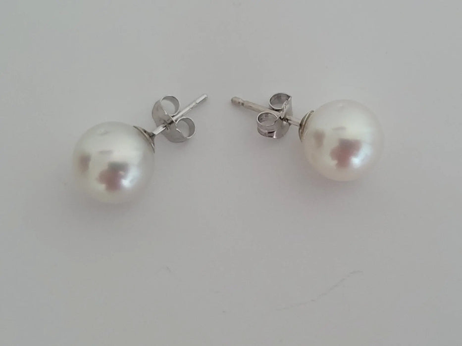 South Sea Pearl Earrings, Sizes from 9 to 11mm, Manufactured in 925 mls Silver -  The South Sea Pearl