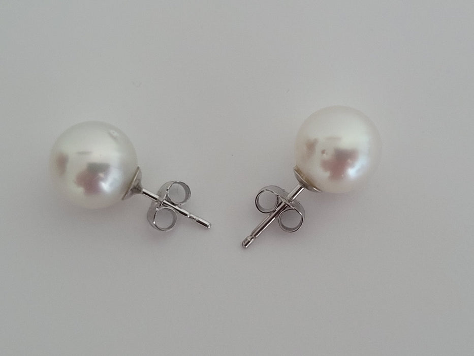 South Sea Pearl Earrings, Sizes from 9 to 11mm, Manufactured in 925 mls Silver -  The South Sea Pearl