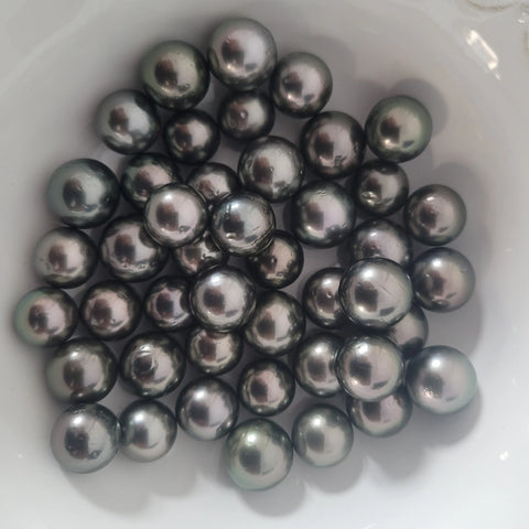 Loose dark Tahitian cultured pearls 12-13mm round (Pinctada margaritifera) — The South Sea Pearl